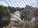 Wild Dunes Cottage (1block from beach, tennis, or golf)